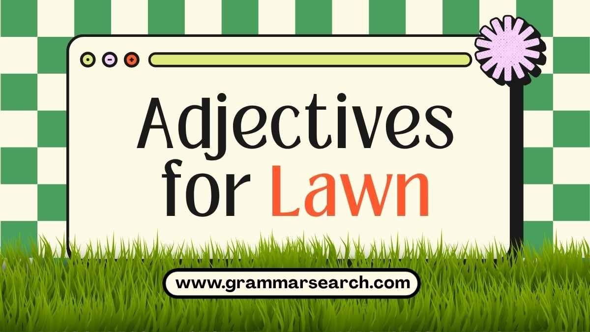 Describing Your Green Space: Adjectives for Lawn
