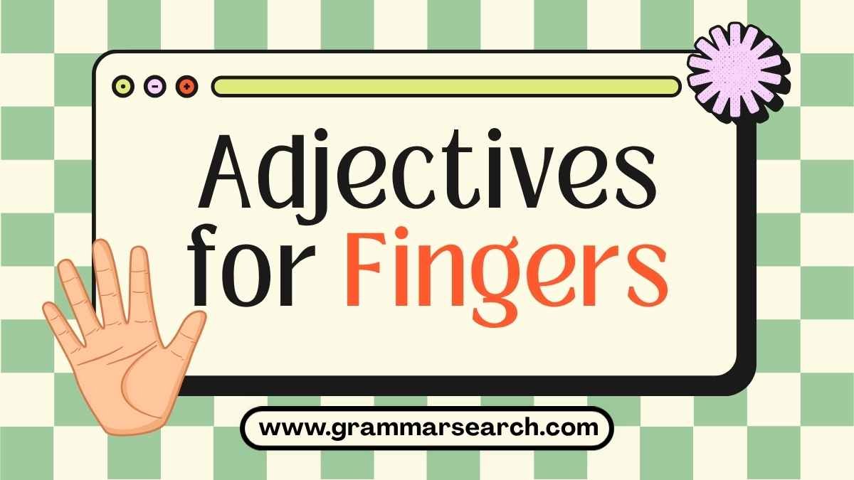 Describing Digits: A Guide to Adjectives for Fingers