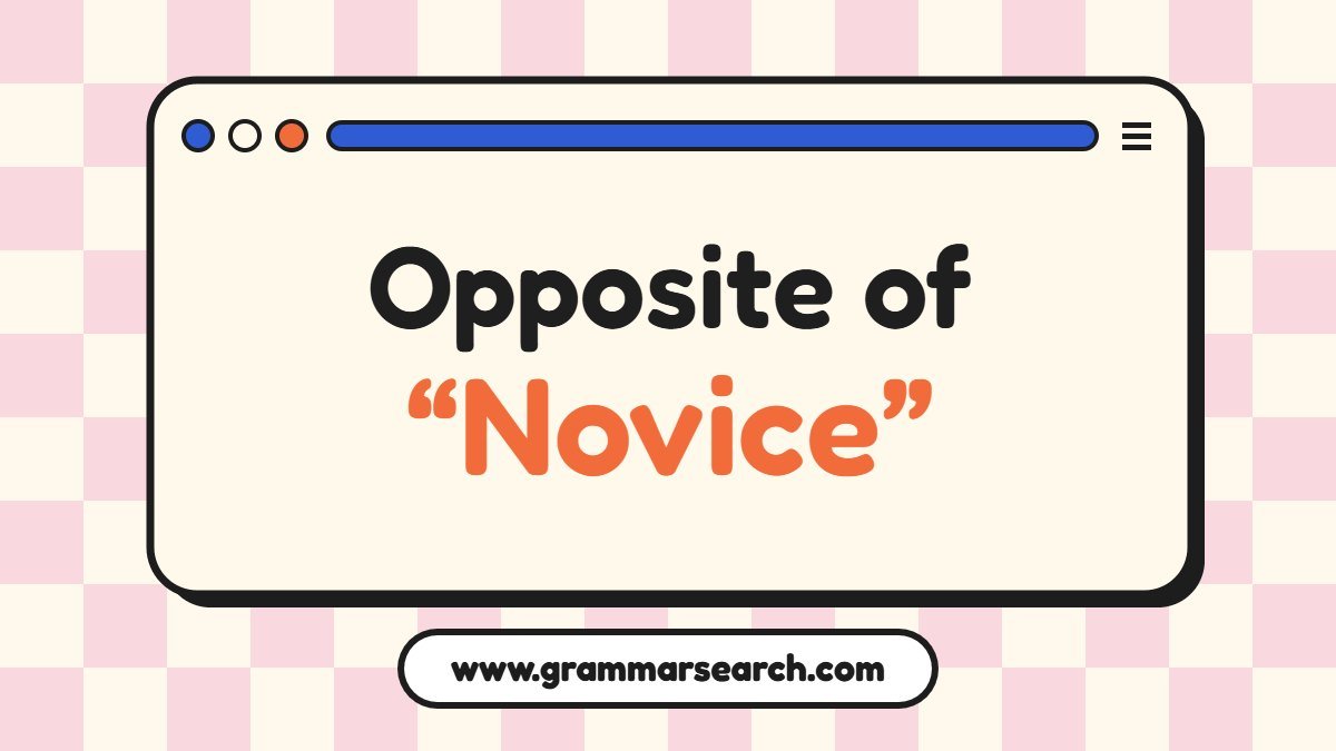 Opposite of Novice: Antonyms, Meanings and Usage