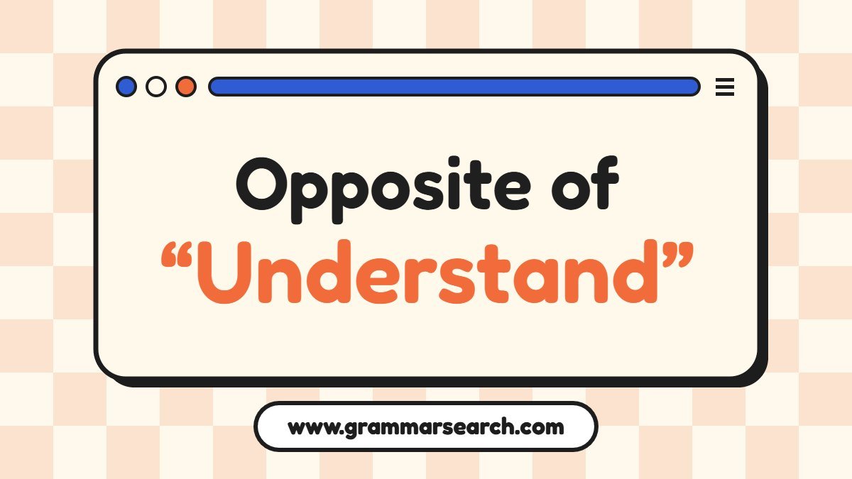 Opposite of Understand: Antonyms with Examples